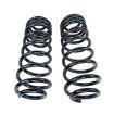 Picture of Rear progressive coil springs Clayton Off Road Dual Rate Lift 2,5" 