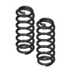 Picture of Rear progressive coil springs Clayton Off Road Dual Rate Lift 3,5"