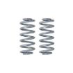 Picture of Rear coil springs Rubicon Express - Lift 5,5"