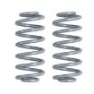 Εικόνα της Rear coil springs Rubicon Express Lift 7,5"