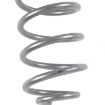 Picture of Rear coil springs Rubicon Express Lift 7,5"