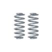 Picture of Rear coil springs Rubicon Express - Lift 3,5"