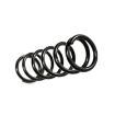 Picture of Front lifted coil springs Pro-Ride Lift 2" BDS