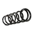 Picture of Rear coil springs BDS - Lift 4"