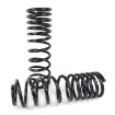 Picture of Rear progressive coil springs Clayton Off Road Lift 2,5" Triple Rate
